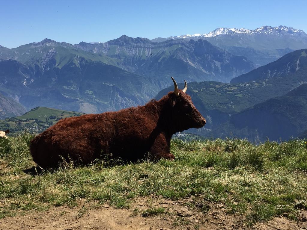 Le Corbier résidence Les Pistes Extérieur photo